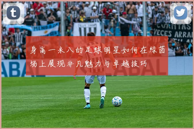 身高一米八的足球明星如何在绿茵场上展现非凡魅力与卓越技巧