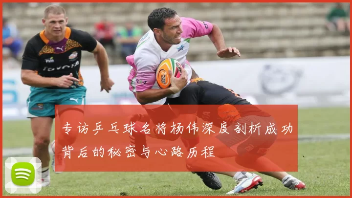 专访乒乓球名将杨伟深度剖析成功背后的秘密与心路历程