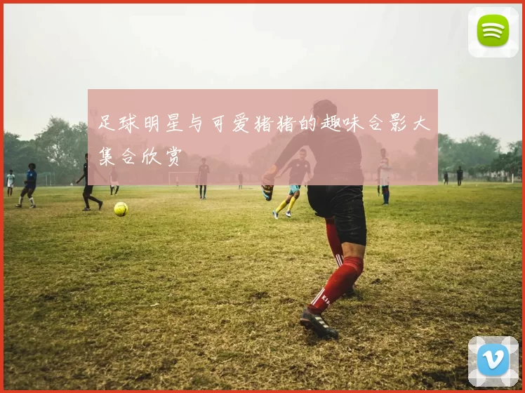 足球明星与可爱猪猪的趣味合影大集合欣赏