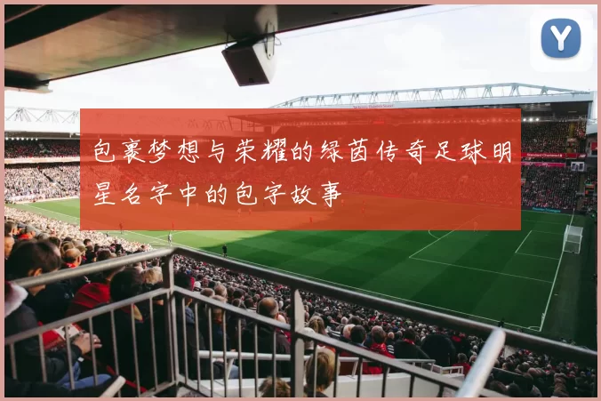 包裹梦想与荣耀的绿茵传奇足球明星名字中的包字故事