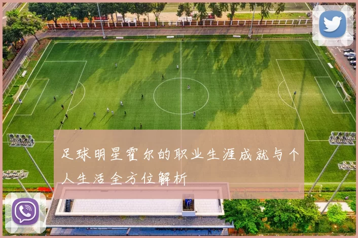 足球明星霍尔的职业生涯成就与个人生活全方位解析