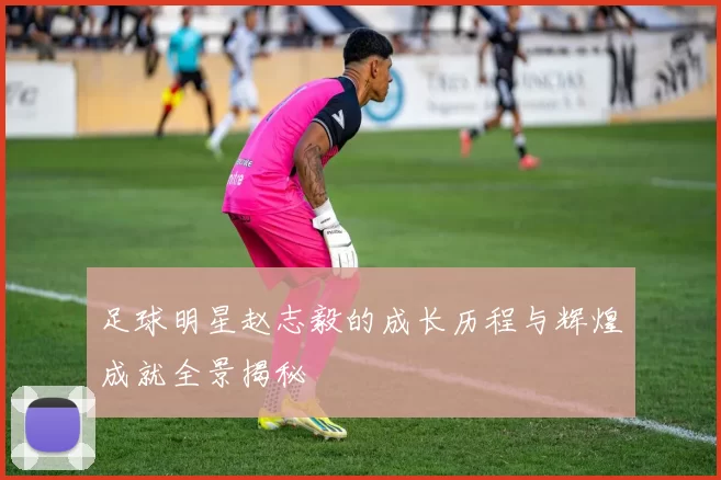 足球明星赵志毅的成长历程与辉煌成就全景揭秘