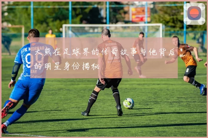 大熊在足球界的传奇故事与他背后的明星身份揭秘