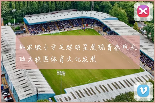 韩家墩小学足球明星展现青春风采助力校园体育文化发展