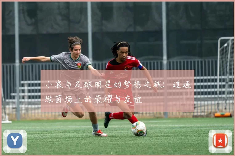小哀与足球明星的梦想之旅：追逐绿茵场上的荣耀与友谊