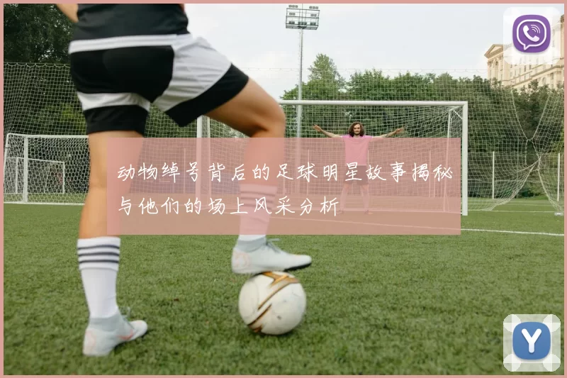 动物绰号背后的足球明星故事揭秘与他们的场上风采分析