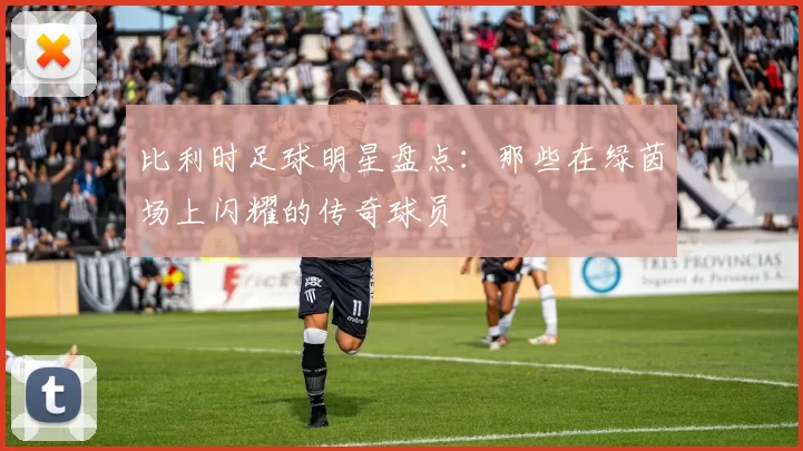 比利时足球明星盘点：那些在绿茵场上闪耀的传奇球员