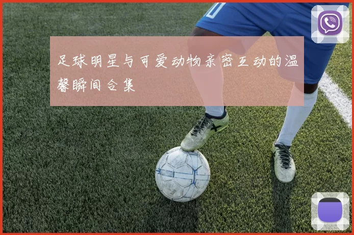足球明星与可爱动物亲密互动的温馨瞬间合集